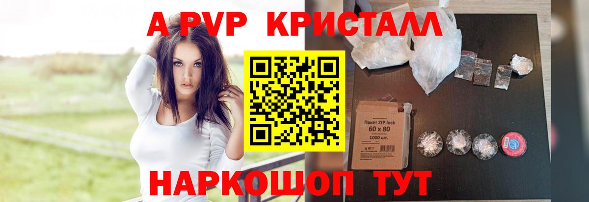 Alfa_PVP СК КРИС Киров