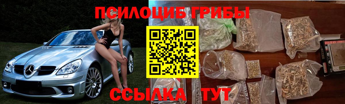 Псилоцибиновые грибы Psilocybine cubensis Киров