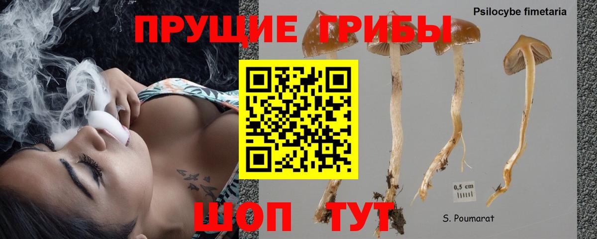 Псилоцибиновые грибы мицелий  Вход с VPN  Псилоцибиновые грибы мухоморы  Киров 